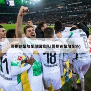 哥斯达黎加足球国家队(哥斯达黎加足协)
