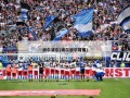 波尔波尔(波尔波尔臂展)
