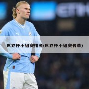 世界杯小组赛排名(世界杯小组赛名单)