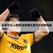 北爱尔兰vs德国(欧预赛北爱尔兰对阵德国分析)