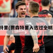 贾森特里(贾森特里入选过全明星吗)