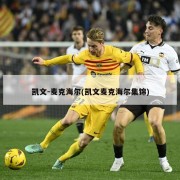 凯文-麦克海尔(凯文麦克海尔集锦)