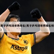 男子乒乓球世界排名(男子乒乓球世界排名榜)
