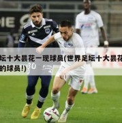 足坛十大昙花一现球员(世界足坛十大昙花一现的球员!)
