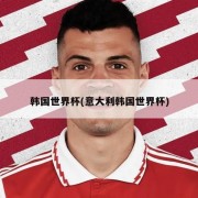 韩国世界杯(意大利韩国世界杯)