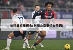 刘翔北京奥运会(刘翔北京奥运会号码)
