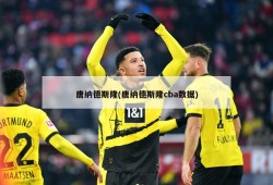 唐纳德斯隆(唐纳德斯隆cba数据)