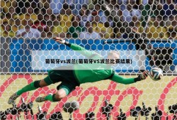 葡萄牙vs波兰(葡萄牙VS波兰比赛结果)
