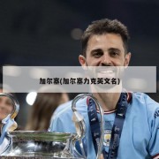加尔塞(加尔塞力克英文名)