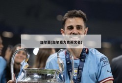 加尔塞(加尔塞力克英文名)