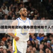 勒布朗詹姆斯资料(勒布朗詹姆斯个人介绍)