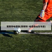 莱斯特哈德森(莱斯特·哈德森山东年薪)