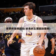 世界杯视频回放(世界杯比赛回放视频)