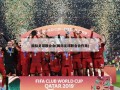 国际足球联合会(国际足球联合会作用)