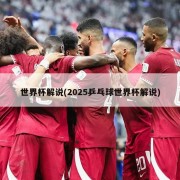 世界杯解说(2025乒乓球世界杯解说)