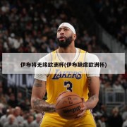 伊布将无缘欧洲杯(伊布缺席欧洲杯)