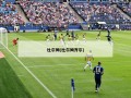杜尔姆(杜尔姆齐尔)