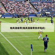帕夫洛维奇(帕夫洛维奇技术特点)