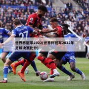 世界杯冠军2022(世界杯冠军2022年足球决赛比分)
