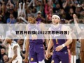 世界杯四强(2022世界杯四强)
