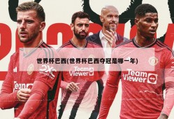 世界杯巴西(世界杯巴西夺冠是哪一年)