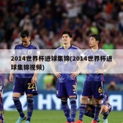 2014世界杯进球集锦(2014世界杯进球集锦视频)