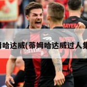 蒂姆哈达威(蒂姆哈达威过人集锦)