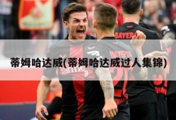 蒂姆哈达威(蒂姆哈达威过人集锦)
