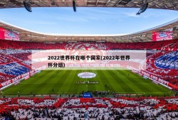 2022世界杯在哪个国家(2022年世界杯分组)