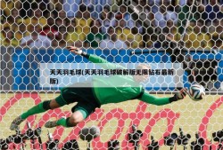 天天羽毛球(天天羽毛球破解版无限钻石最新版)
