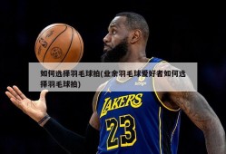 如何选择羽毛球拍(业余羽毛球爱好者如何选择羽毛球拍)