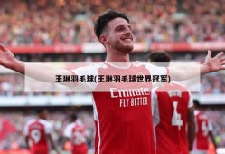 王琳羽毛球(王琳羽毛球世界冠军)