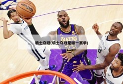 骑士夺冠(骑士夺冠是哪一赛季)