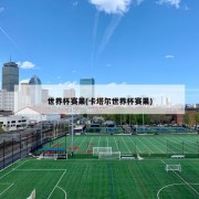 世界杯赛果(卡塔尔世界杯赛果)