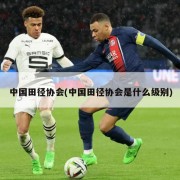 中国田径协会(中国田径协会是什么级别)