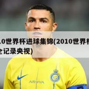 2010世界杯进球集锦(2010世界杯进球全记录央视)