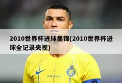 2010世界杯进球集锦(2010世界杯进球全记录央视)