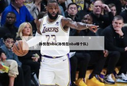 孙悦在nba(孙悦在nba哪个队)