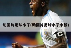 动画片足球小子(动画片足球小子小毅)