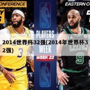 2014世界杯32强(2014年世界杯32强)