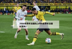 2006世界杯法国队(2006世界杯法国队球衣)