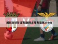 国际足球友谊赛(国际足球友谊赛2024)