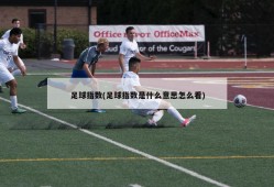 足球指数(足球指数是什么意思怎么看)