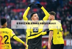世界杯总决赛(世界杯总决赛全红婵2025)