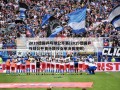 2019德国乒乓球公开赛(2019德国乒乓球公开赛孙颖莎女单决赛视频)