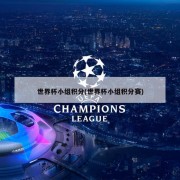 世界杯小组积分(世界杯小组积分赛)
