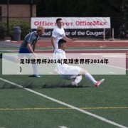 足球世界杯2014(足球世界杯2014年)