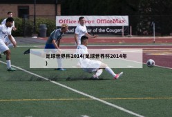 足球世界杯2014(足球世界杯2014年)