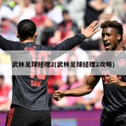 武林足球经理2(武林足球经理2攻略)