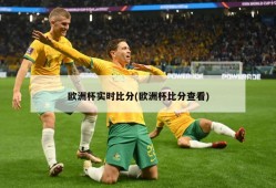 欧洲杯实时比分(欧洲杯比分查看)
